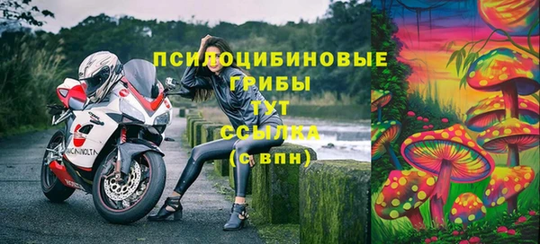 скорость Богородск