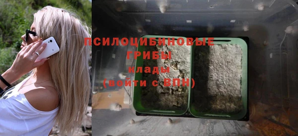 мескалин Богданович