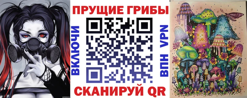 Псилоцибиновые грибы GOLDEN TEACHER  Купить где  Валуйки 